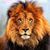Carlos Franco Bernal's profile image
