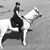 Emilie F Partis's profile image