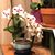 Sandy Cline's profile image