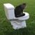 Shirley A Bukwa's profile image