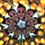 Josh Winslow's profile image