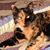 Doreen Para's profile image