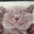 Katherine Llewellyn's profile image