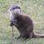 Christopher Moreno's profile image