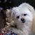 Tina Haus's profile image