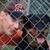 John Strmac's profile image