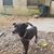 Luisa Maddox's profile image