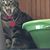 Carol Sonnen's profile image