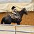 Kemper Caitlin Strickland's profile image