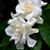 Diane Lusk's profile image