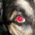 Pat Hartman's profile image