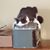 Louis Wooldridge's profile image