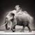 Scottie Sawade's profile image