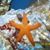 Cindy Overholser's profile image