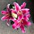 Debbie Furnish Ford's profile image