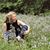 Brittany-Claire Hylton's profile image