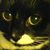 Jennifer Martins's profile image