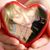 Suzie Ford's profile image