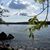 Stephanie Palmquist's profile image