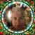 Michelle Mackler's profile image