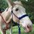 Melissa Farrier's profile image