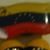 Mayo Ripoll D'Castro's profile image