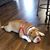 Gloria Lynn Wilbers's profile image