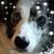 Angela Dotson's profile image