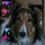 Lynne Curtin Mobus's profile image