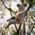 D'Arcy Alys Farrington's profile image