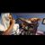 Marcel Dorga's profile image