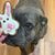 Matthew Drobek's profile image