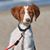 Elaine Knauer Moore's profile image