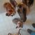 Emilie Roberts Brown's profile image