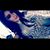 Stephanie Bueno's profile image