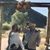 Joshua W Watts's profile image