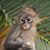 James Huelsman's profile image