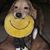 Jeannie Brimacomb's profile image