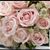 Rosa Marian Barraza Castro's profile image