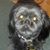 Donna Knoll Snyder's profile image