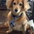 Kathy Kessell Bramlett's profile image