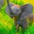 Shinette Stephens's profile image