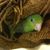 Cynthia Ott's profile image