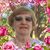 Carol Miller's profile image