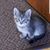 Shelley Gorby's profile image