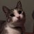 Christine McCulloch's profile image