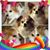 Jaf Cornwell's profile image