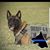 Mary Garcia Paez's profile image