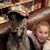 Brenda Donihoo Steelman Ratcliff's profile image