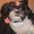 Tom Bertz's profile image